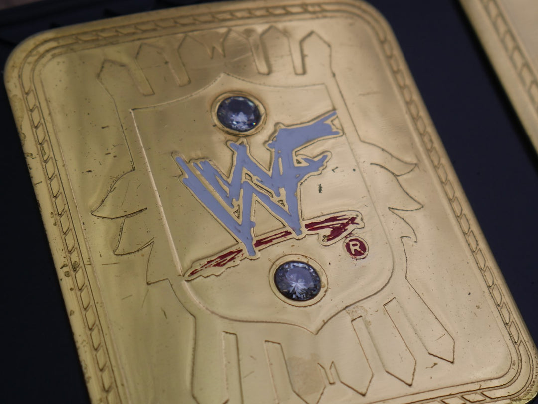 READY TO SHIP: Releathered & Restoned Original 2001 'F-Logo' Figs Inc. Big Eagle Replica Title Belt