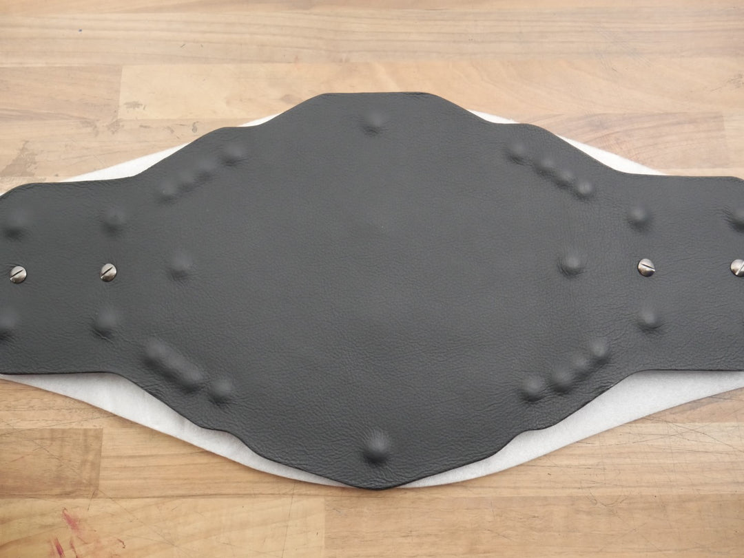 READY TO SHIP: Releathered NXT Black &amp; Gold Championship Replica Title Belt