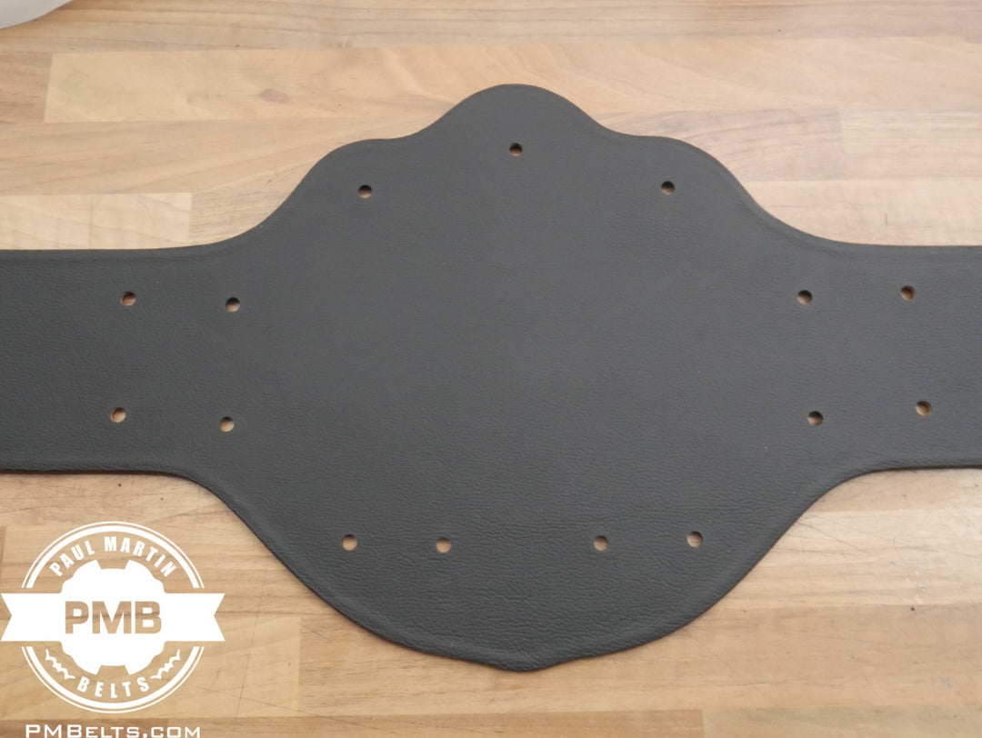 WCW World Heavyweight 'Big Gold' Championship Adult Sized Replica Belt Real Leather Send Out Strap