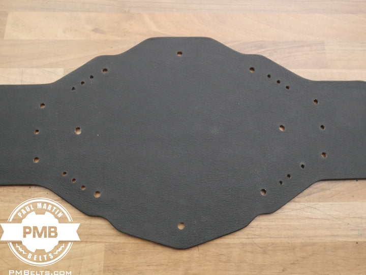 NXT 2.0 Championship Adult Sized Replica Belt Real Leather Send Out Strap