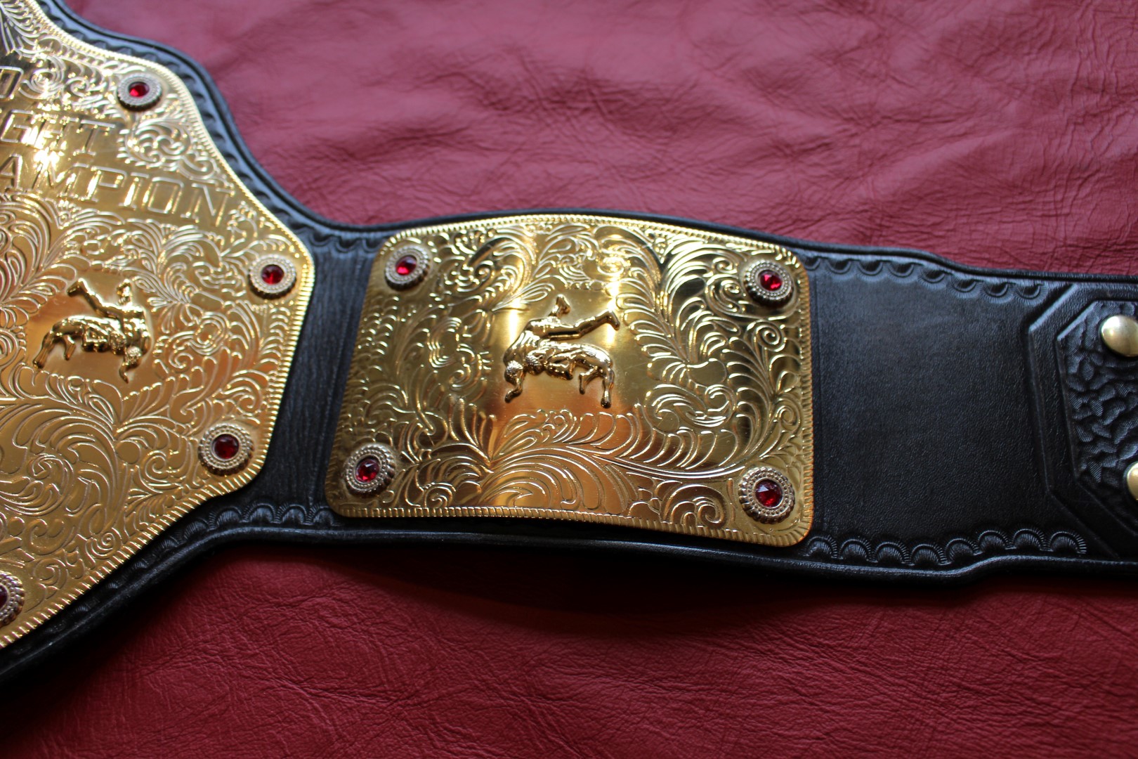 IMG_3912 (Large) – Paul Martin Championship Belts