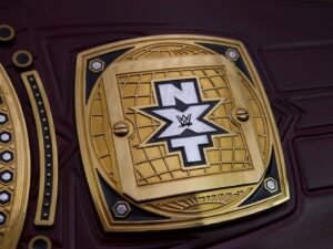 READY TO SHIP: Releathered NXT North American Adult-sized Replica Belt - Image 12