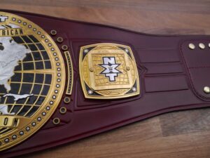 READY TO SHIP: Releathered NXT North American Adult-sized Replica Belt - Image 11