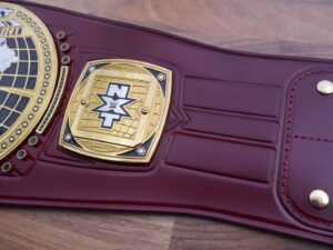 READY TO SHIP: Releathered NXT North American Adult-sized Replica Belt - Image 10