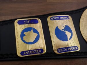 READY TO SHIP: Releathered & Restoned Original 2001 Attitude Era 'F Logo' Oval Intercontinental Adult-sized Replica Belt - Image 6