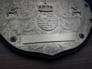 READY TO SHIP: Releathered & Restoned 2003 Big Gold Adult-sized Replica Belt - Image 7