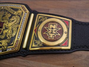 READY TO SHIP: Releathered & Restoned W/ Upgraded Fandu Side Bars NXT UK Championship Adult Sized Replica Belt - Image 12